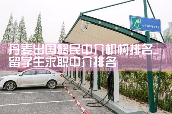 丹麦出国移民中介机构排名