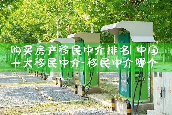 购买房产移民中介排名