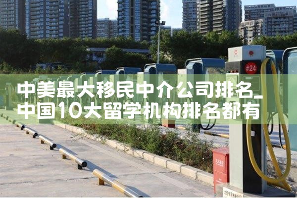 中美最大移民中介公司排名