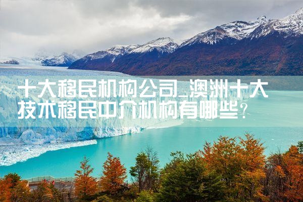 十大移民机构公司