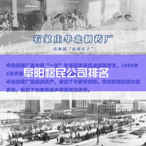 4WellTrend Ͷѯ޹˾һҼѧҵذһĳȫϵͳṩ̡ڻù䷢˽뾳Ӫɡͽ䷢ġԷѳ