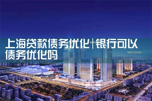 上海贷款债务优化