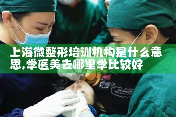 上海微整形培训机构是什么意思