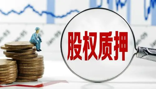 什么基金可以质押股票呢
