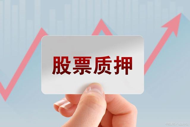 厦门股票质押基金管理办法