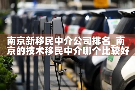 南京新移民中介公司排名