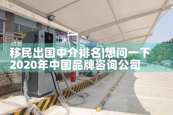 移民出国中介排名