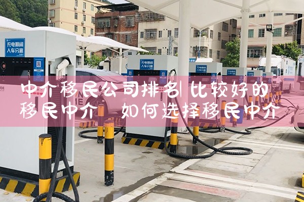 中介移民公司排名