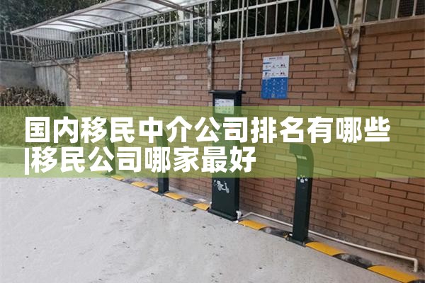 国内移民中介公司排名有哪些
