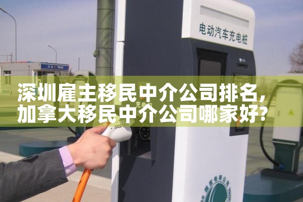 深圳雇主移民中介公司排名