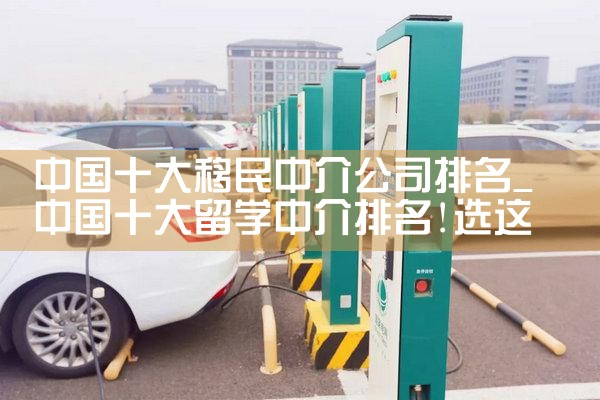 中国十大移民中介公司排名