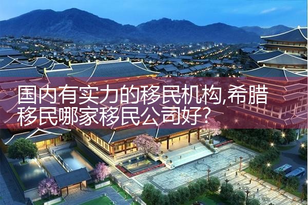国内有实力的移民机构