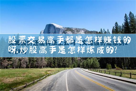 股票交易高手都是怎样赚钱的呀|小牛股