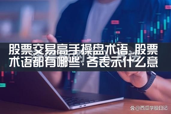 股票交易高手操盘术语|小牛股