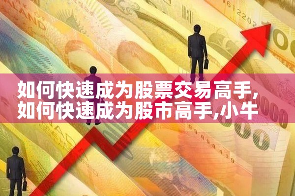 如何快速成为股票交易高手|小牛股