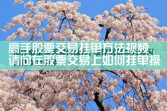高手股票交易挂单方法视频|小牛股