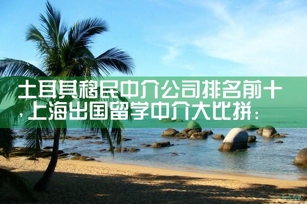 土耳其移民中介公司排名前十