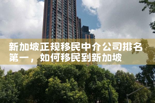 新加坡正规移民中介公司排名第一