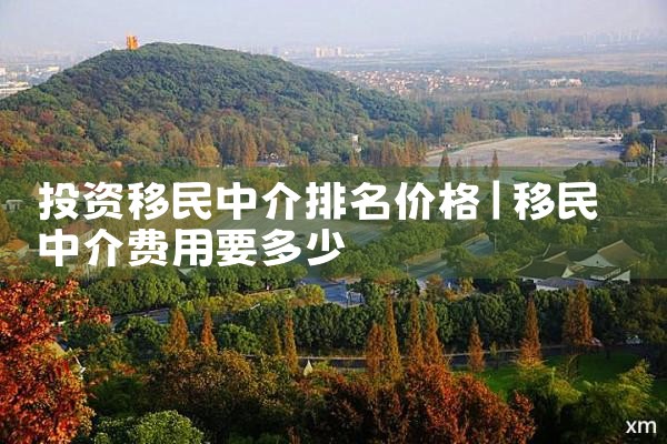 投资移民中介排名价格