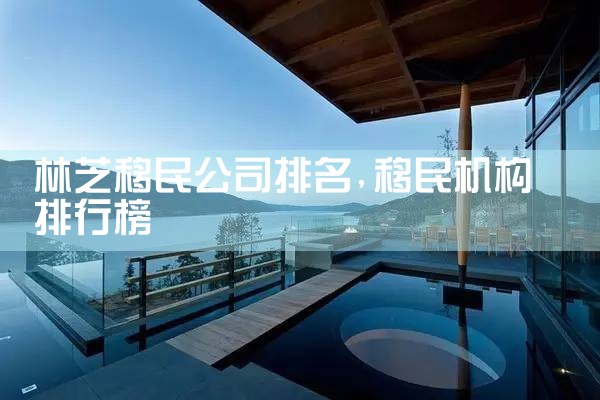 林芝移民公司排名