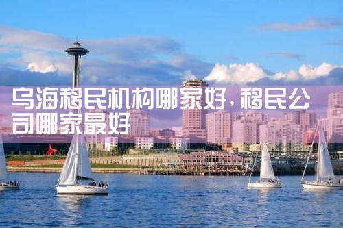 乌海移民机构哪家好