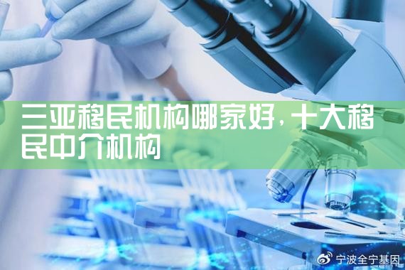 三亚移民机构哪家好