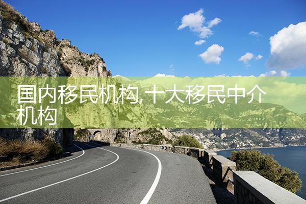 国内移民机构