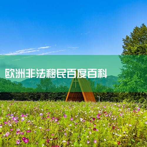 ߷(Stra y  Graniczna)Ƿļ鼰ǲ;߷ӷַǷ󣬻ԷǷȡʱ;Ƿ񵱳֤Լ뿪н