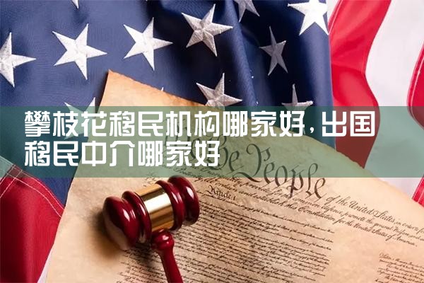 攀枝花移民机构哪家好