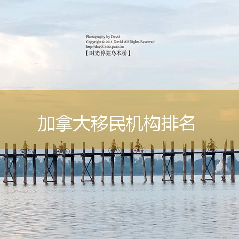 2 һרҵѯ1990ôṩָҾҵȷ񣬺˶͡3ѯ ѯһԹΪйǡ