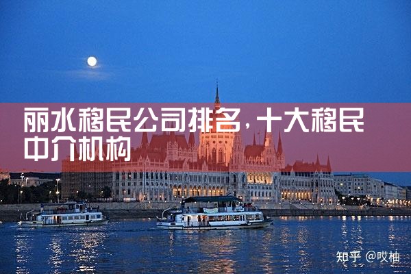 丽水移民公司排名