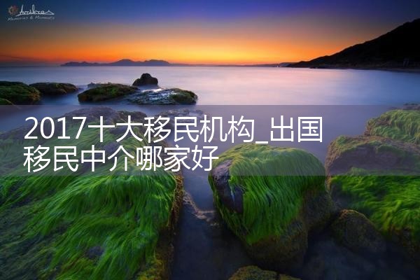 2017十大移民机构