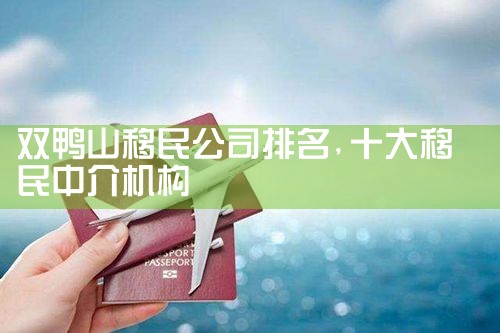 双鸭山移民公司排名