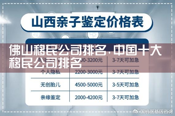 佛山移民公司排名