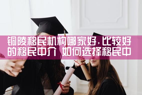 铜陵移民机构哪家好