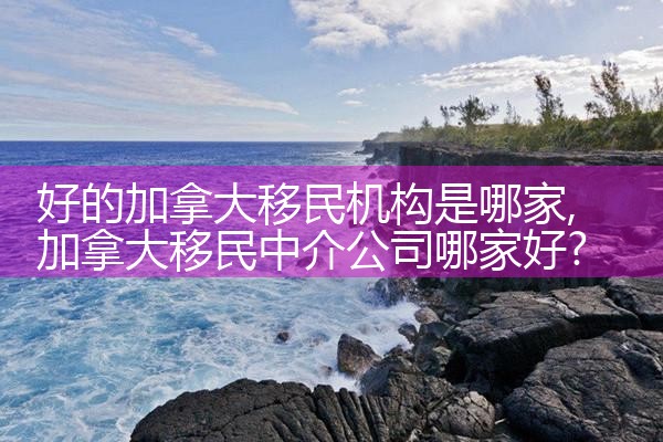 好的加拿大移民机构是哪家