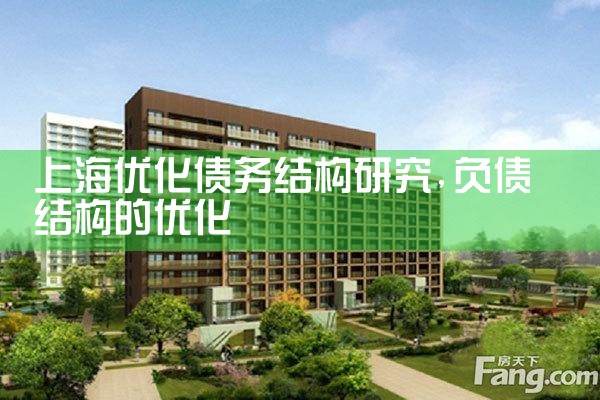 上海优化债务结构研究