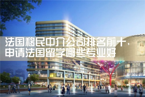 法国移民中介公司排名前十