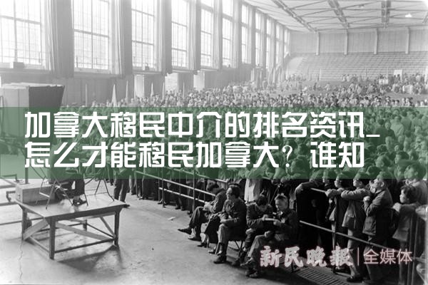 加拿大移民中介的排名资讯