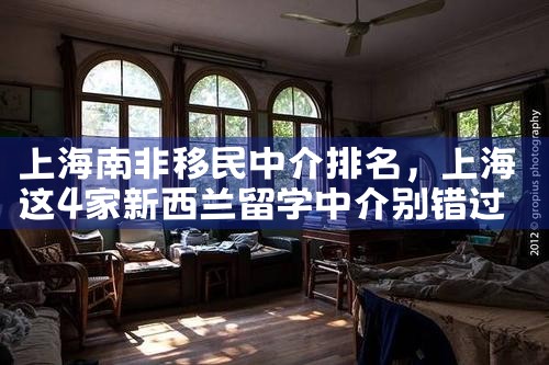 上海南非移民中介排名