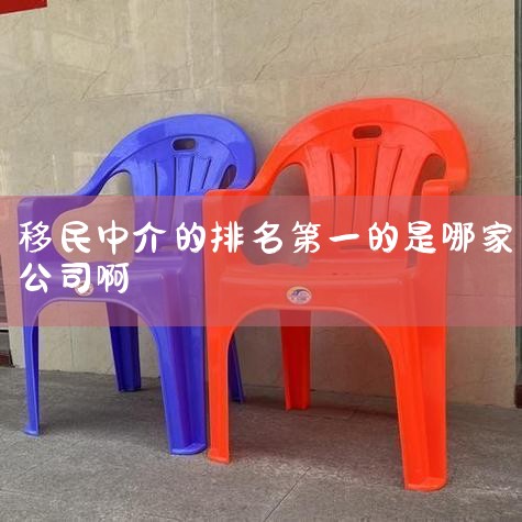 н鹫˾ѧ񡢰ļ񡢽ѧ¶ǰ;һѧ ѧǹ֪н鹫˾֮һ1996꣬ǹڽṩѯĹ˾֮һѧ