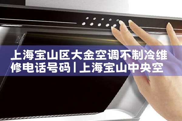 上海宝山区大金空调不制冷维修电话号码|24小时维修电话