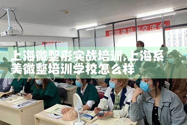上海微整形实战培训