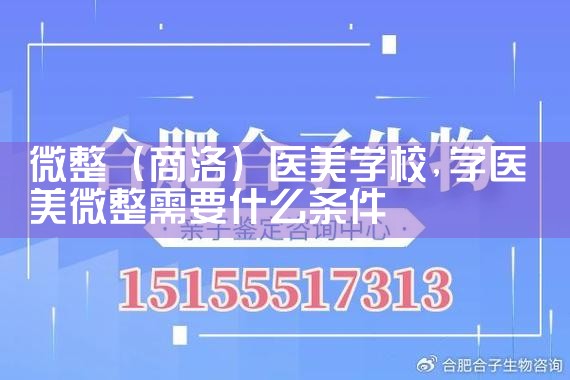 微整(商洛)医美学校