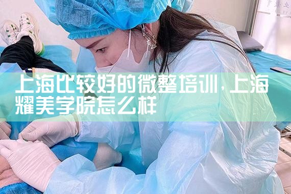 上海比较好的微整培训
