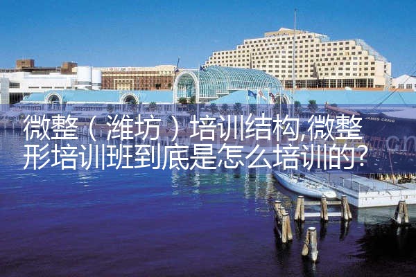 微整(潍坊)培训结构