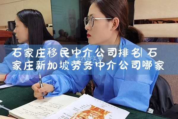 欧洲移民中介公司排名