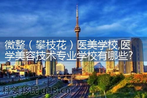 微整(攀枝花)医美学校