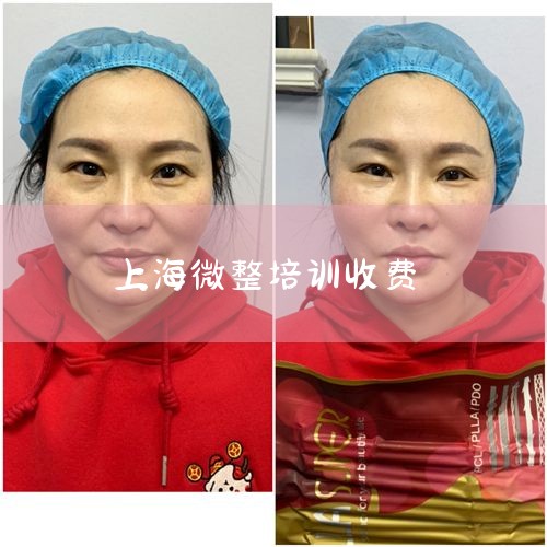 上海正规的微整培训哪里好|学微整学费大概多少钱|枫硕微整培训学费是多少?