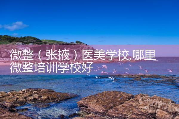 微整(大庆)培训结构